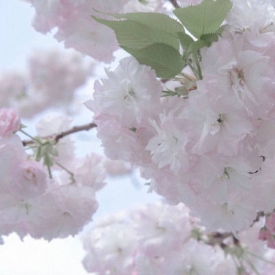 双牌FurryQQ群介绍